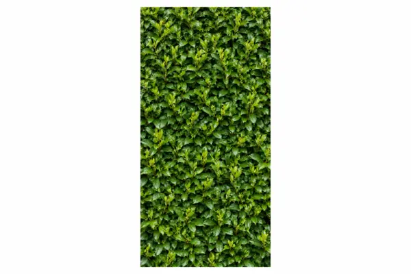 Mülltonnen Verschönerung Hecke