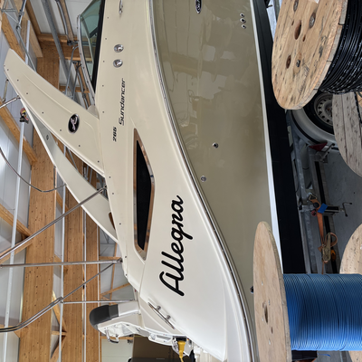 Absolut empfehlenswert!